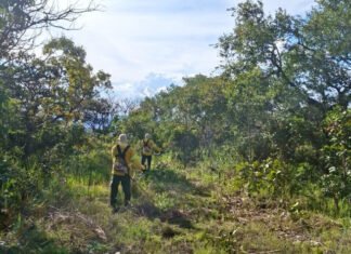 Naturatins inicia ações de prevenção a incêndios florestais no Parque Estadual do Lajeado