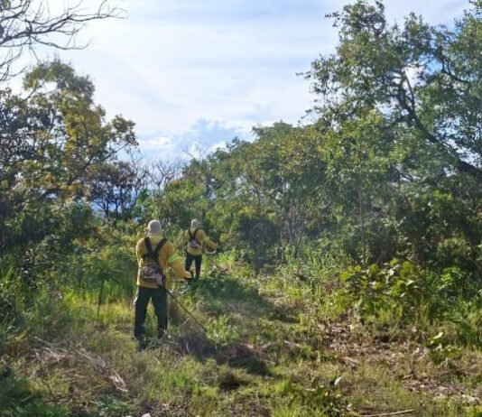 Naturatins inicia ações de prevenção a incêndios florestais no Parque Estadual do Lajeado