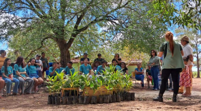 Naturatins realiza ação de educação ambiental no Assentamento Macaúba, em Pium