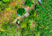 Divulgação - Imagem aérea mostra uma pequena propriedade rural em Jacupiranga com diversos cultivos (Obtenção da Imagem: Thiago Santos)