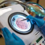 Uso de bioinsumos eleva em mais de 8% a produtividade da soja no Paraná Antonio Neto - Fixação Biológica do Nitrogênio é pilar de sustentabilidade na produção de soja