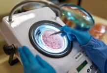 Antonio Neto - Fixação Biológica do Nitrogênio é pilar de sustentabilidade na produção de soja