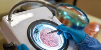 Antonio Neto - Fixação Biológica do Nitrogênio é pilar de sustentabilidade na produção de soja