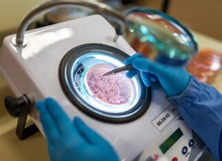 Antonio Neto - Fixação Biológica do Nitrogênio é pilar de sustentabilidade na produção de soja