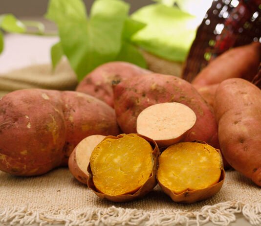 Paulo Lanzeta - Além das suas qualidades agronômicas e nutricionais, a nova cultivar atrai consumidores com sua casca rosada e polpa amarela em tom intenso