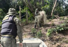 Naturatins intensifica fiscalização e apreende mais de 4 mil metros de redes de pesca no norte do estado