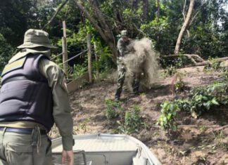 Naturatins intensifica fiscalização e apreende mais de 4 mil metros de redes de pesca no norte do estado