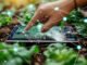 Raio X mostra que startups agropecuárias estão mais espalhadas pelo País Freepik - A periodicidade do Radar Agtech ajuda a entender a evolução do ecossistema de inovação do País
