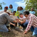 Semana da Água inicia com apresentação do projeto Plantando Água e ações de preservação de nascentes
