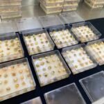 Tecnologia com ozônio chega ao mercado para reduzir micotoxinas em grãos Marco Aurélio Pimentel - Análise de sanidade de grãos com e sem tratamento com gás Ozônio