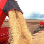 Governo do Tocantins destaca avanço do agro com projeção da safra 2025/2026 de quase 10 milhões de toneladas de grãos