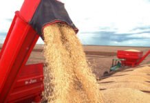 Governo do Tocantins destaca avanço do agro com projeção da safra 2025/2026 de quase 10 milhões de toneladas de grãos