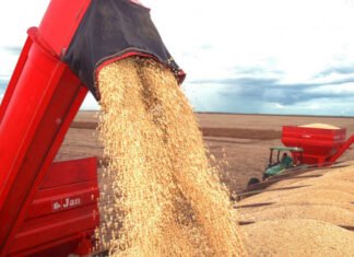 Governo do Tocantins destaca avanço do agro com projeção da safra 2025/2026 de quase 10 milhões de toneladas de grãos