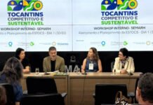 Governo do Tocantins promove oficina com foco no desenvolvimento econômico sustentável