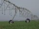 Monitoramento via satélite identifica áreas irrigadas a partir da umidade do solo Paulo Ernani Peres Ferreira - A irrigação é utilizada como instrumento de desenvolvimento regional no Brasil e em outros países