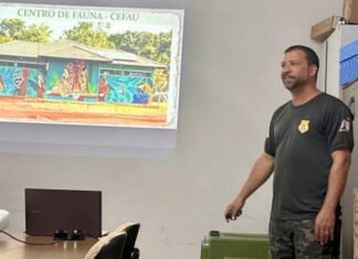 Naturatins promove capacitação sobre Manejo de Fauna Silvestre no município de Peixe