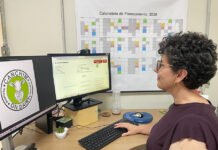 Raça Canchim recebe certificação para carne premium produzida em rebanhos leiteiros