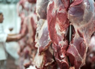 Exportações de carne bovina crescem 5% em setembro, mas ainda recuam 32% no ano