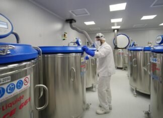 Mato Grosso completa 30 anos sem registro de febre aftosa
