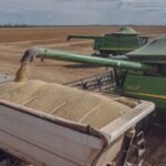 Preço do milho e da soja no Tocantins: soja a R$157, milho a R$70 e fertilizantes pressionam