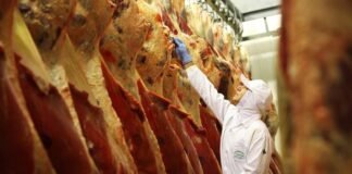 abate, carne bovina, frigoríficos, carnes - abates