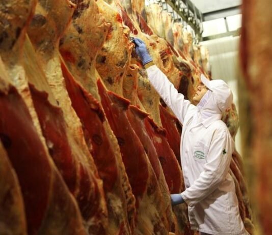 abate, carne bovina, frigoríficos, carnes - abates