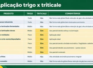 Cultivo do triticale no Cerrado amplia oportunidades para a indústria de alimentos – Cultivo do triticale no Cerrado amplia oportunidades para a indústria de alimentos