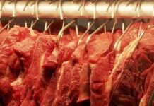 EUA, Chile e Rússia compensam queda nas exportações de carne bovina para a China carne bovina, carnes, abate