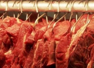 carne bovina, carnes, abate
