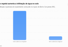 Pesquisa seleciona cultivares de aveia-preta para recuperação de solos na Serra Gaúcha – Pesquisa seleciona cultivares de aveia-preta para recuperação de solos na Serra Gaúcha